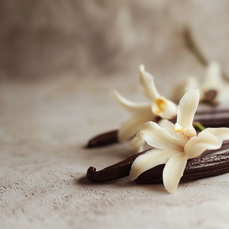 The Voice Of A Desert Rose 20ml  - Technical Panel 4