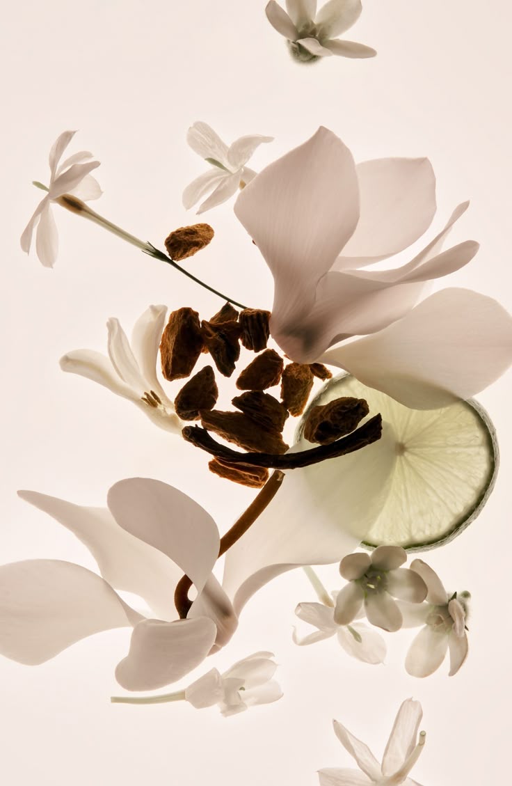 Sugar Scrub Burning Cherries 500ml - Technical Panel 2